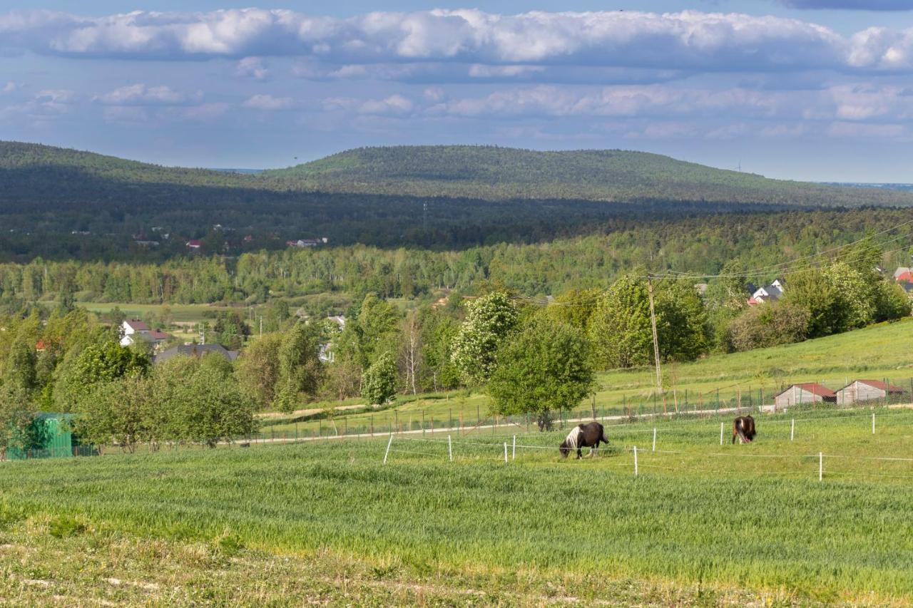 Farm stay Noclegi U Banysia W Sercu Gor Swietokrzyskich *